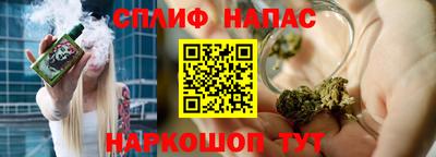 стаф Новодвинск