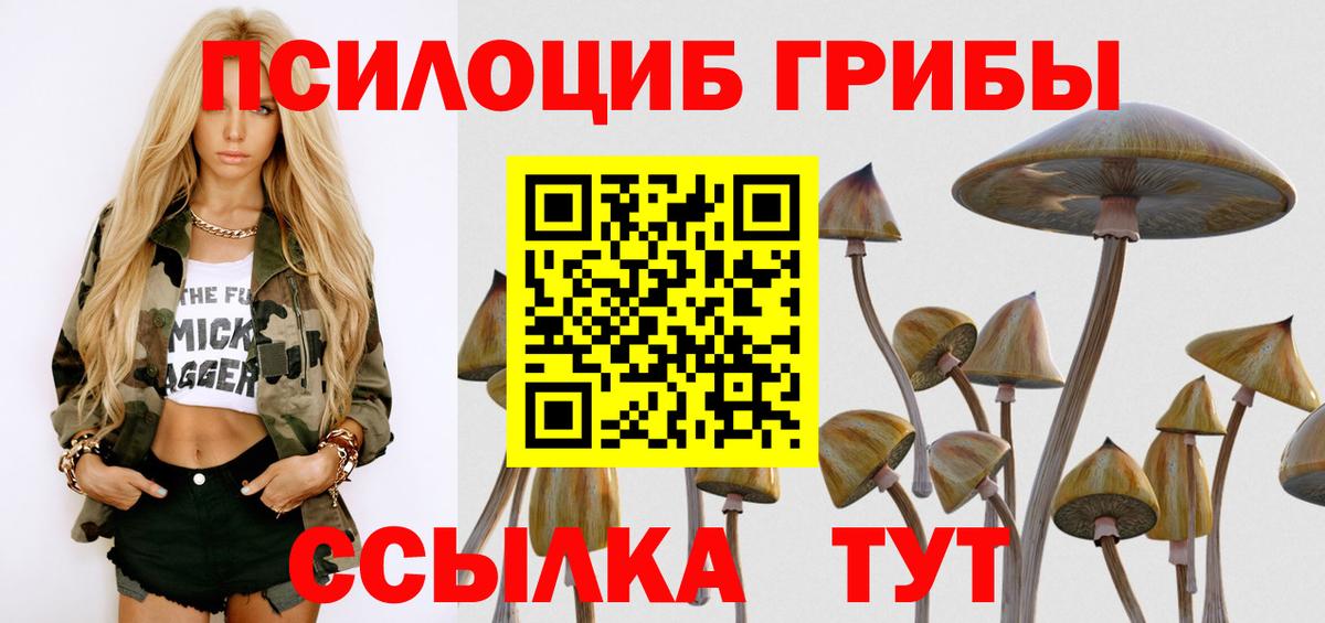 Псилоцибиновые грибы Cubensis Ставрополь