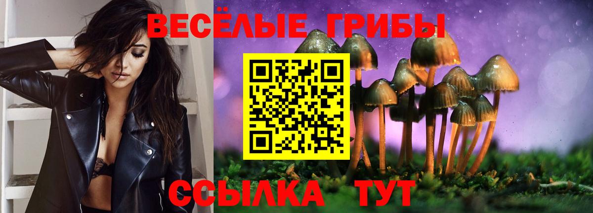 Меф МЯУ МЯУ кристаллы  ЭКСТАЗИ  МЕТАДОН  ГАШ  МЕТАМФЕТАМИН  Ставрополь  COCAIN  НБОМе  Гашиш  Вход с VPN  Бошки Шишки 